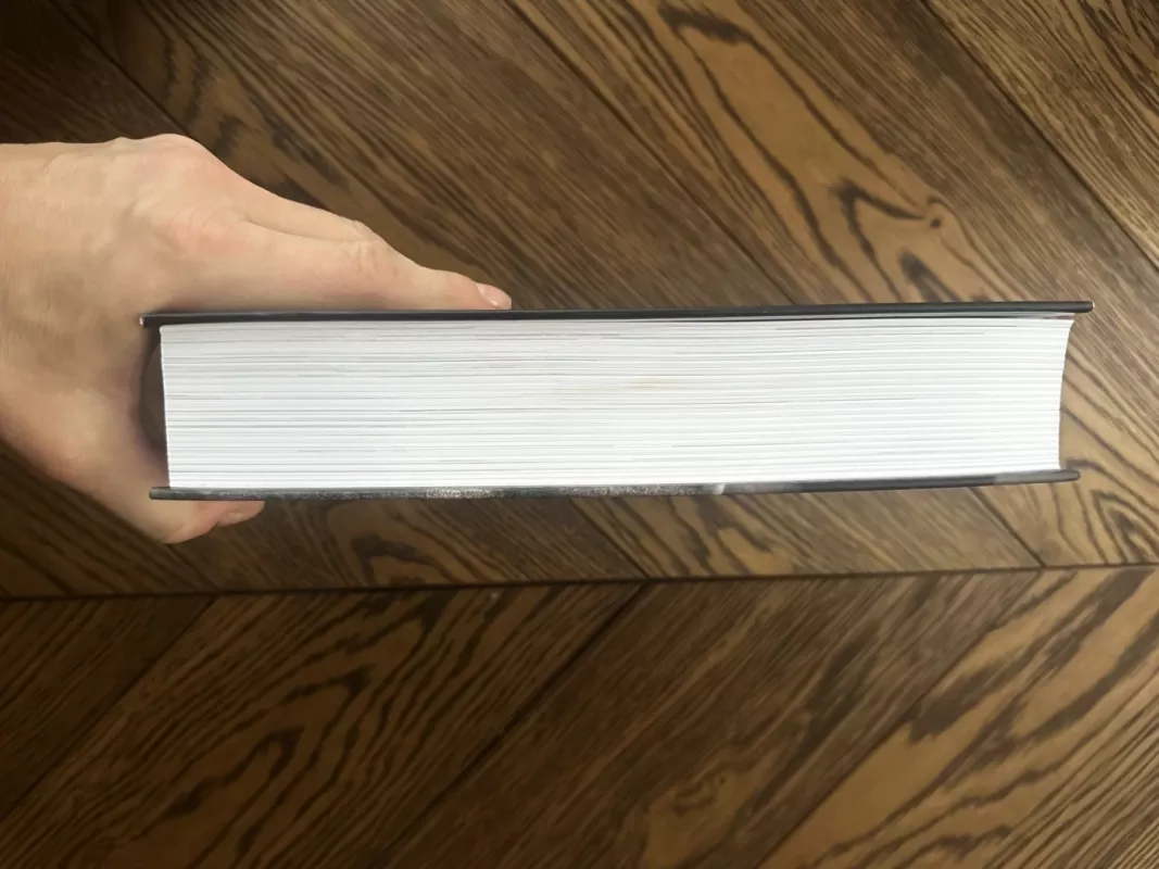 Prarastos pergalės - Erich von Manstein, knyga 3