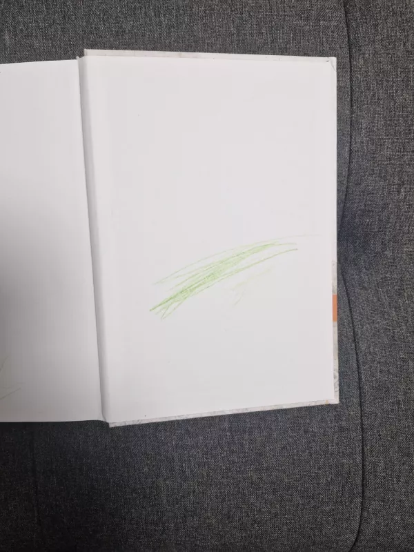 Praktiškos moters knyga. Žiema - Daiva Dmuchovska, knyga 3