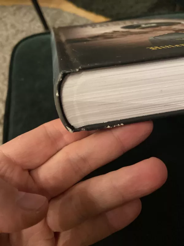 Rommelio archyvas - Rommel Erwin, knyga 3