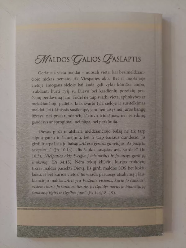 Maldos galios paslaptis - Salos-Astachov N.I., knyga 4