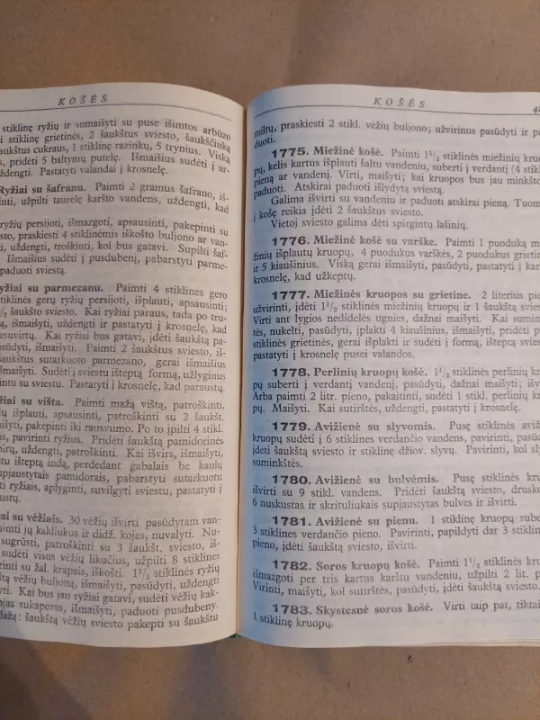 Didžioji virėja - V. Varnienė, knyga 6