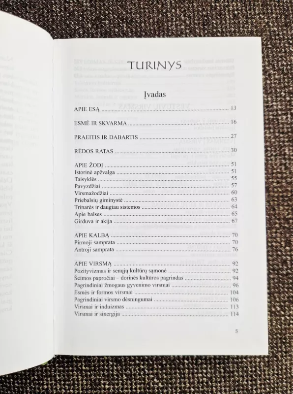 Virsmų knyga - Aleksandras Žarskus, knyga 6