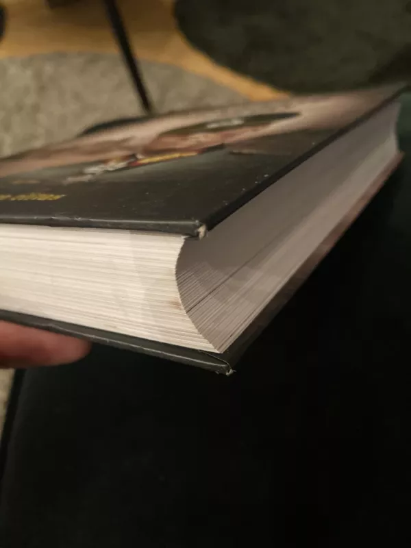 Rommelio archyvas - Rommel Erwin, knyga 2