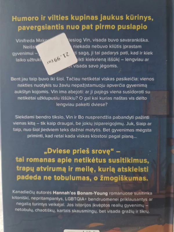 Dviese prieš srovę - Hannah Bonam-Young, knyga 3