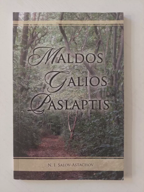 Maldos galios paslaptis - Salos-Astachov N.I., knyga 2