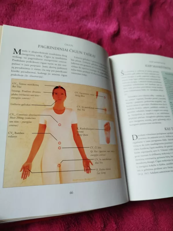 Savipagalbos vadovas pagal tradicinę kinų mediciną - Dr. Stephen Gascoigne, knyga 4