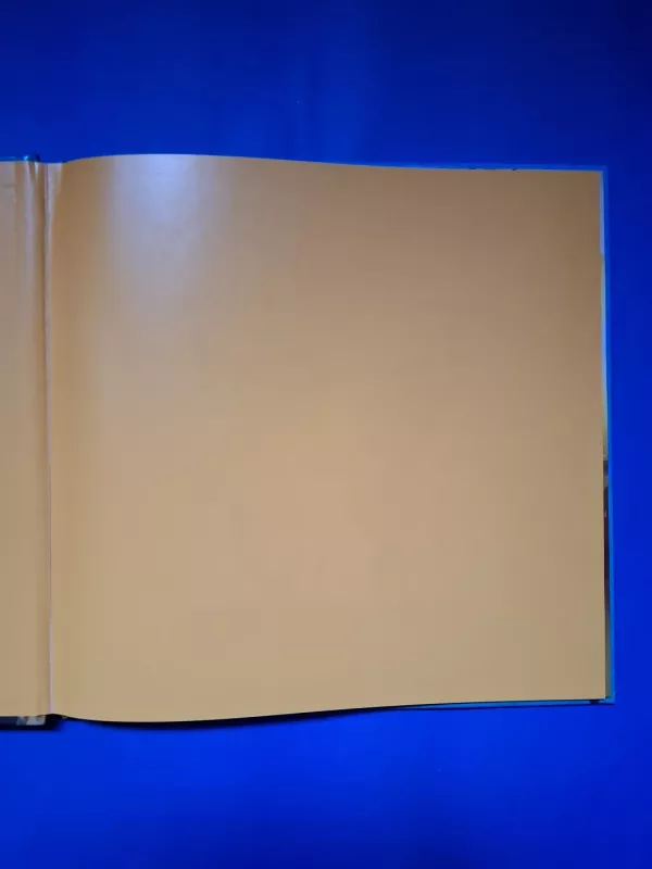 Batuotas katinas Pūkis. Katinas. Batai. Legenda - Dream works, knyga 3