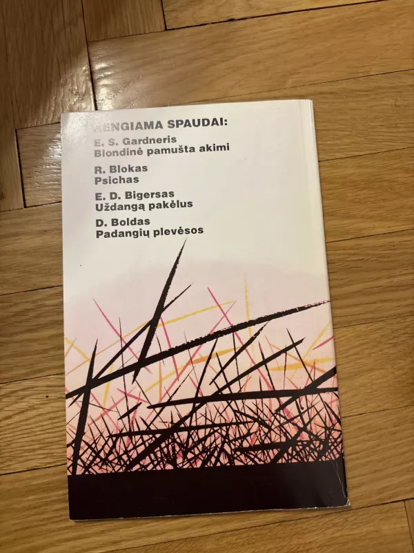 Devyni mėnesiai iki žmogžudystės - Eleris Kvinas, knyga 3