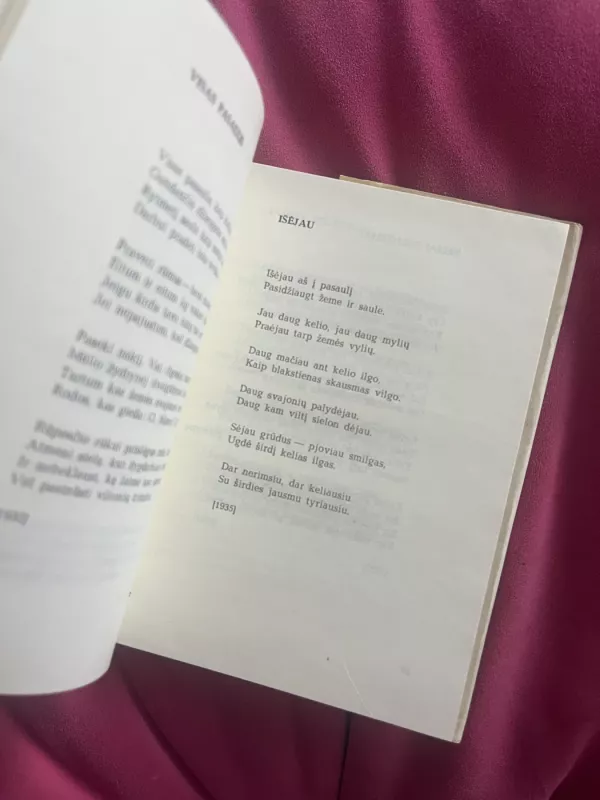 Erdvių ugnys - Petras Vaičiūnas, knyga 5