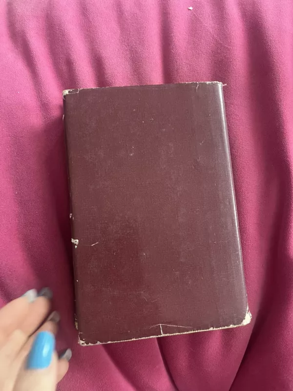 Istoriografo užrašai - Melvin Burgess, knyga 3