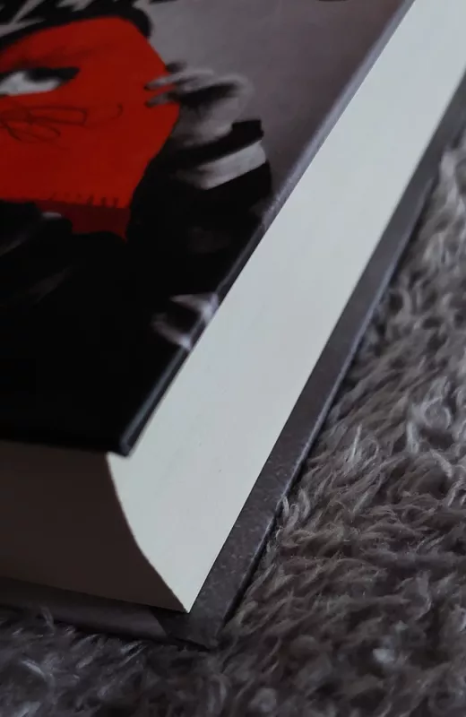 Pasikalbėkime apie Keviną - Lionel Shriver, knyga 4