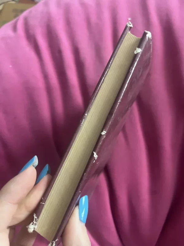 Istoriografo užrašai - Melvin Burgess, knyga 6