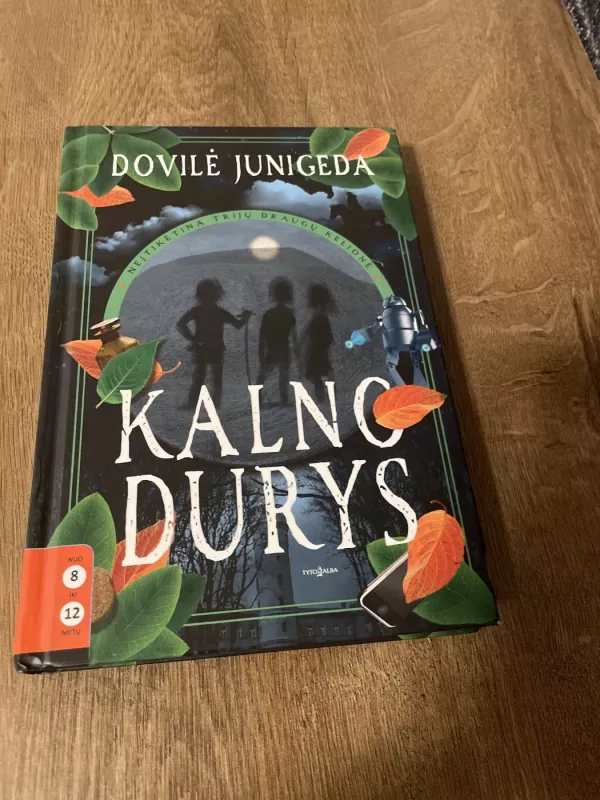 Kalno durys - Dovilė Junigeda, knyga 3