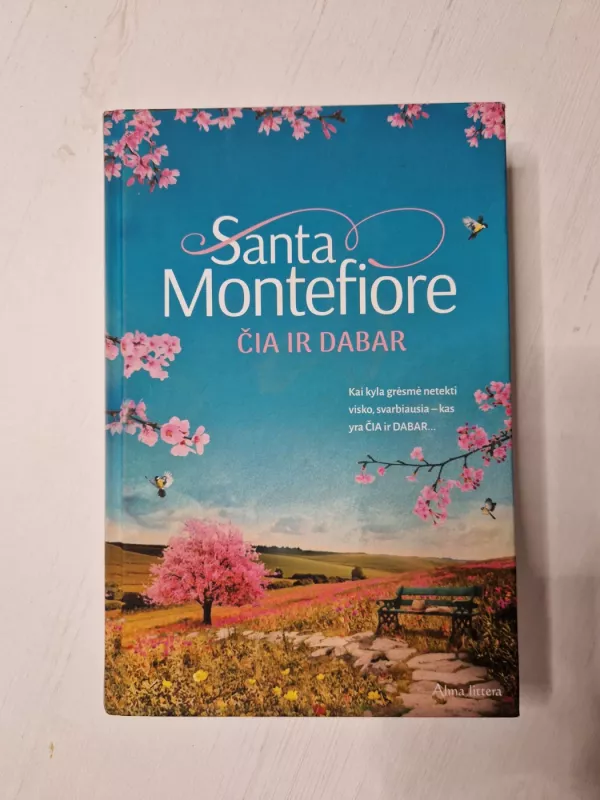 Čia ir dabar - Santa Montefiore, knyga 2
