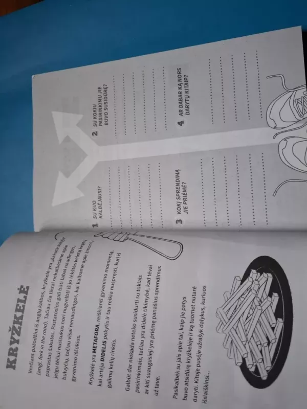 Tu esi nerealus: išdrįsk įgyti pasitikėjimo savimi (ir galbūt pakeisti pasaulį). Dienoraštis - Matthew Syed, knyga 4