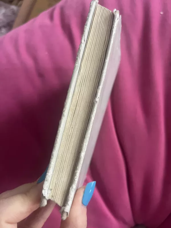 Mano mėnesiai - Vincas Mykolaitis-Putinas, knyga 6