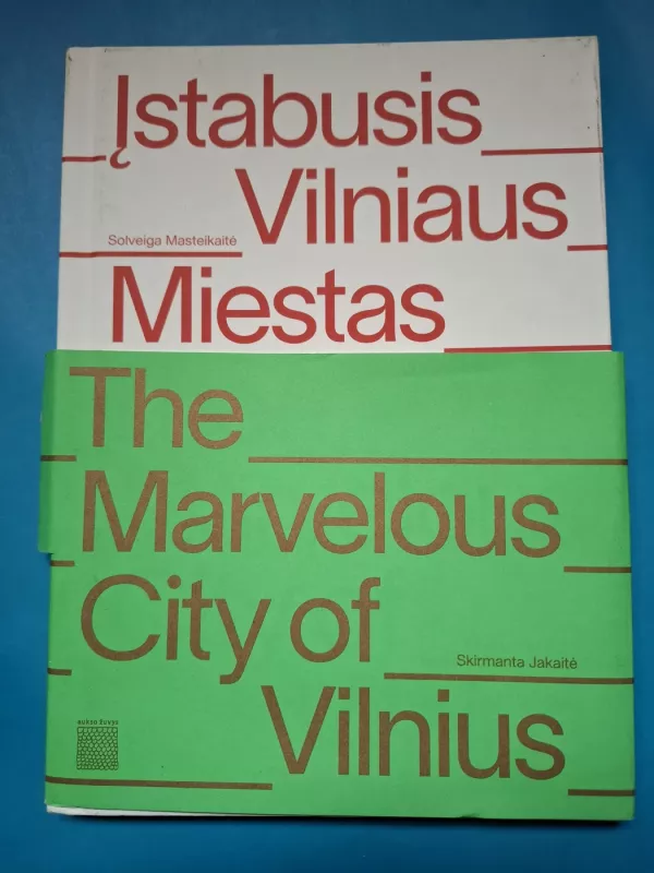 Įstabusis Vilniaus miestas - Soveiga Masteikaitė, knyga 3