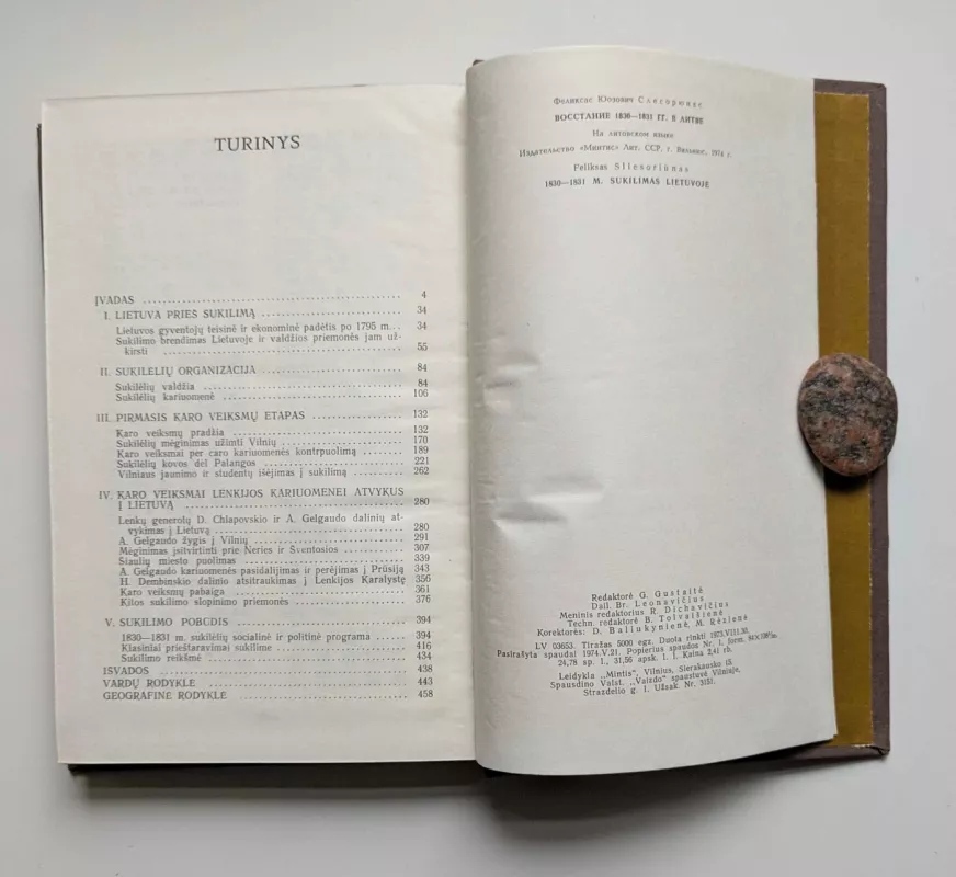 1830-1831 metų sukilimas Lietuvoje - Feliksas Sliesoriūnas, knyga 5