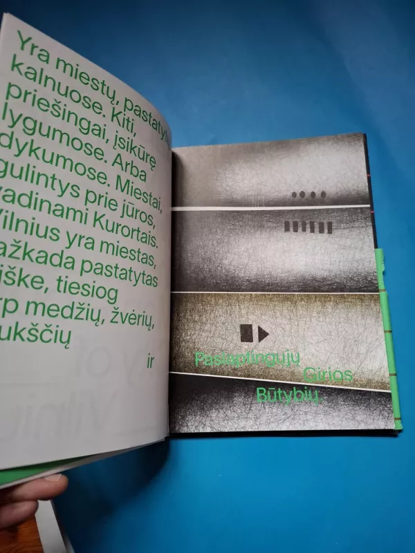 Įstabusis Vilniaus miestas - Soveiga Masteikaitė, knyga 5