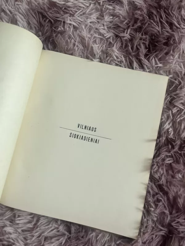 Vilniaus šiokiadieniai - A. Sutkus, knyga 6