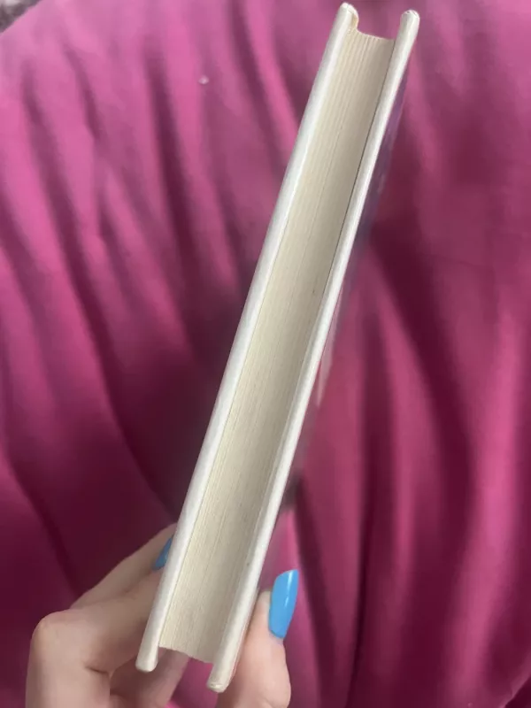 Erdvių ugnys - Petras Vaičiūnas, knyga 4