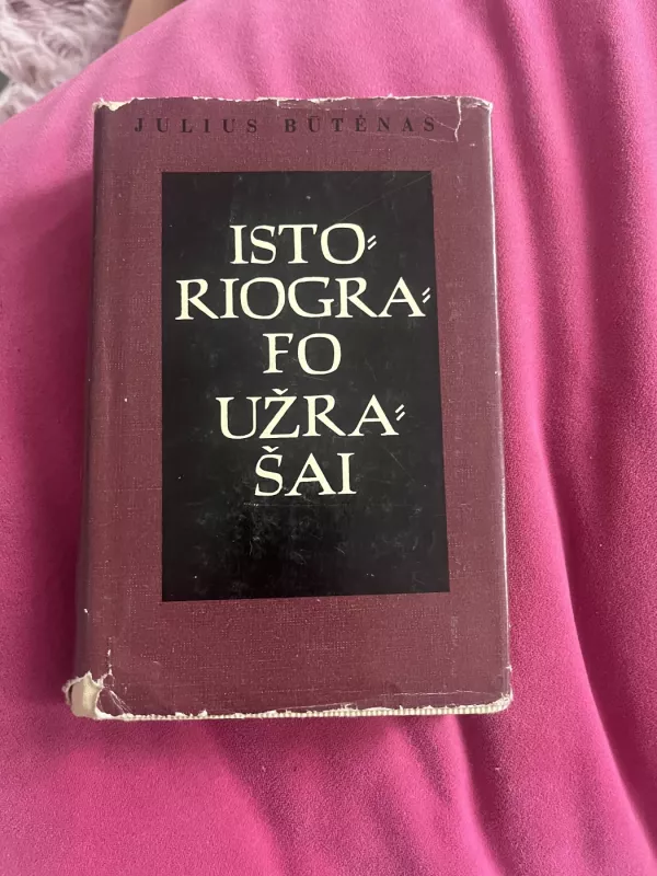 Istoriografo užrašai - Melvin Burgess, knyga 2