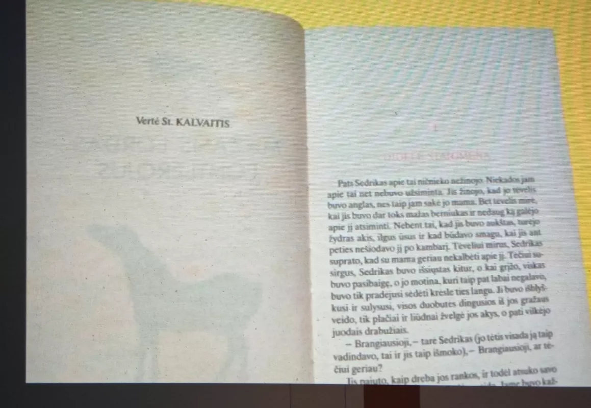 Fontlerojus. Sara - Frensis Bernet, knyga 3