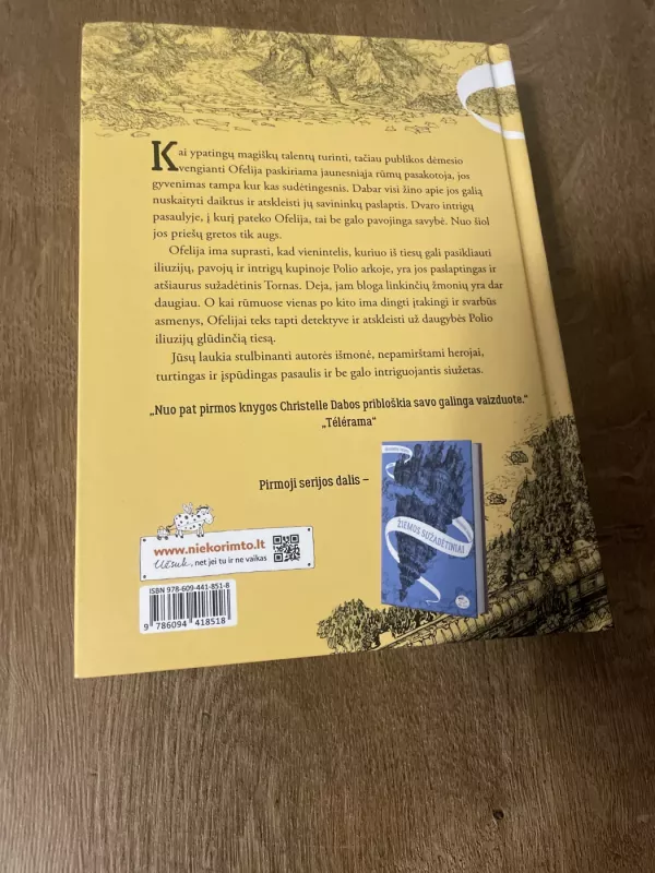 Dingusieji mėnesienoje - Christelle Dabos, knyga 2