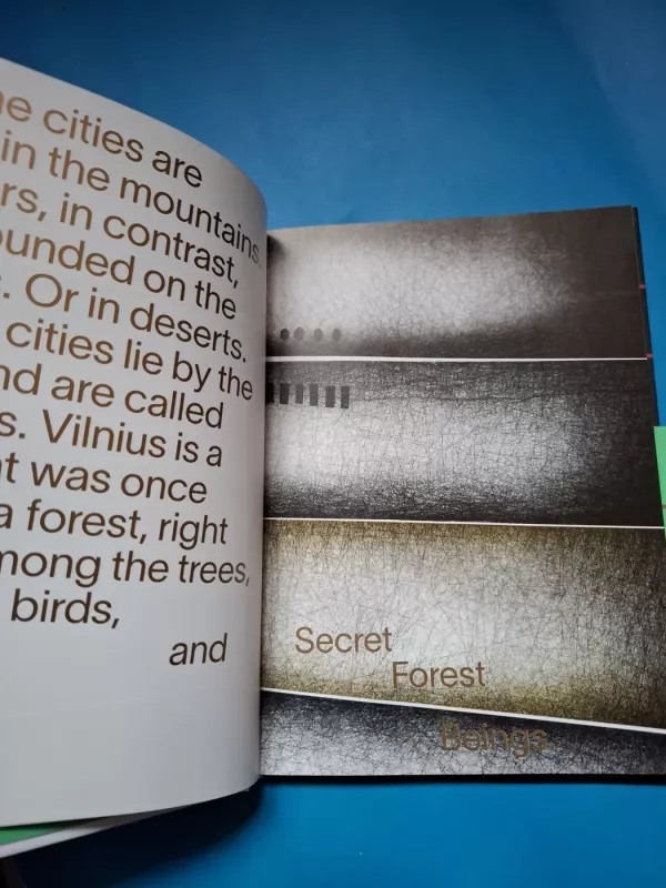 Įstabusis Vilniaus miestas - Soveiga Masteikaitė, knyga 6