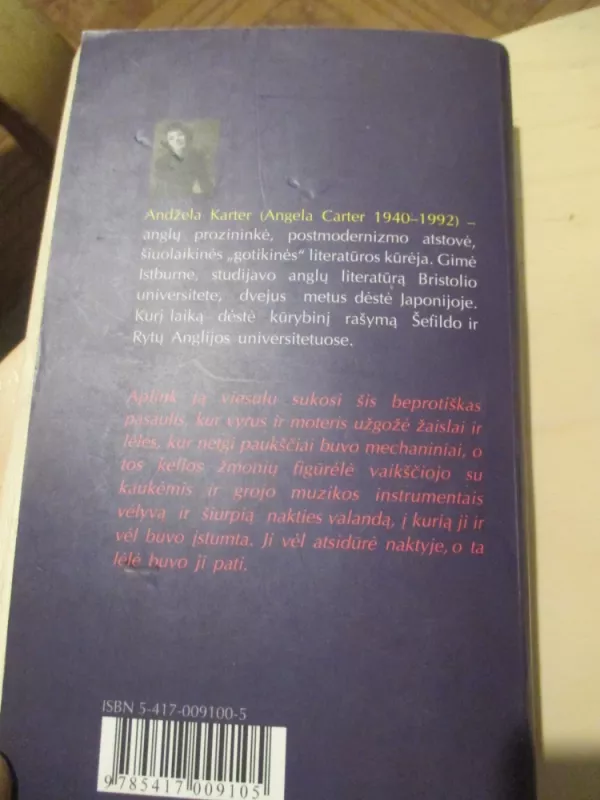 Stebuklinga žaislų krautuvėlė - Angela Carter, knyga 4
