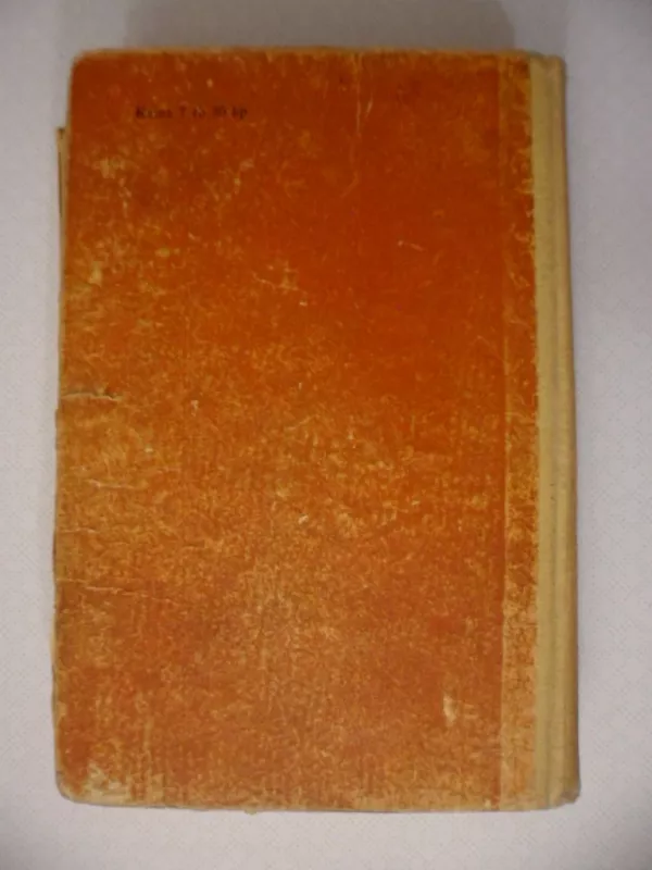 Vikontas de Braželonas 2 dalis - Aleksandras Diuma, knyga 4