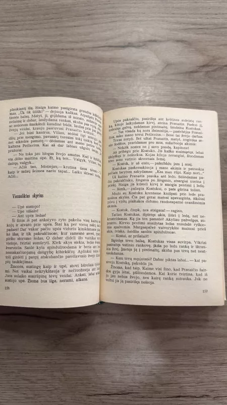 Teka upė pro šalį - Vladas Dautartas, knyga 4