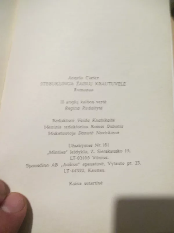 Stebuklinga žaislų krautuvėlė - Angela Carter, knyga 6