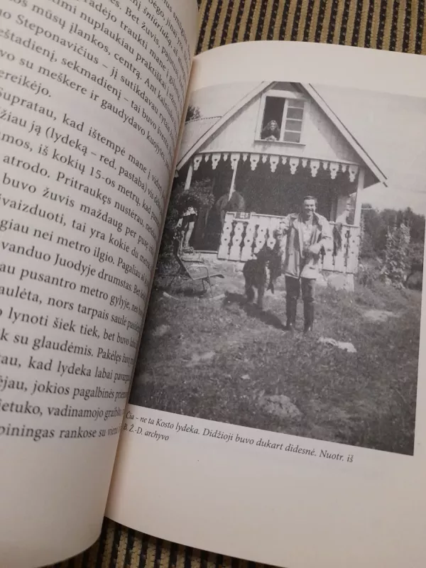 Vakaro žvilgsnis - Birutė Želvytė, knyga 4