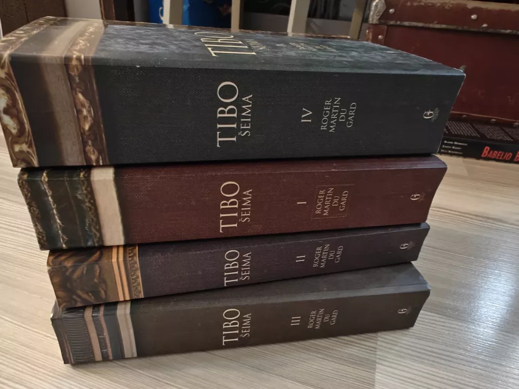 Tibo šeima, 4 tomai - Roger Martin Du Gard, knyga 2