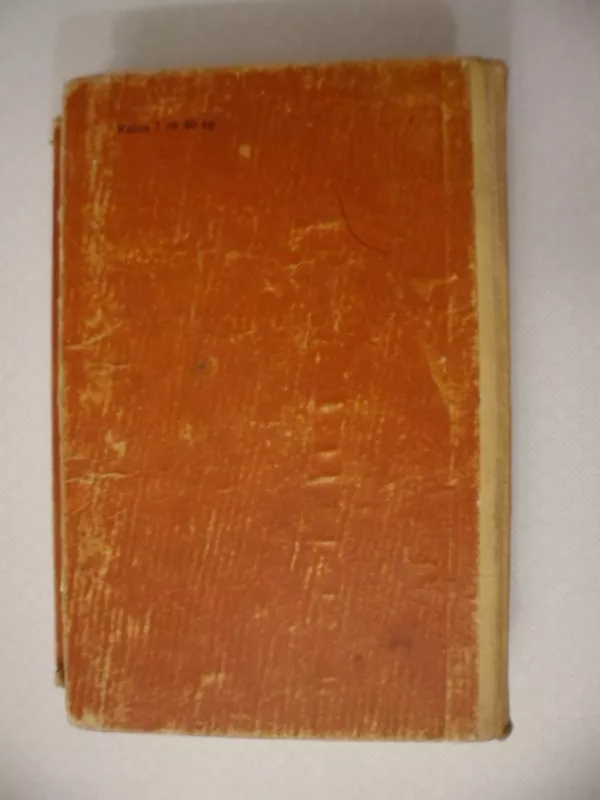 Vikontas de Brazelonas 1 tomas - A.Diuma, knyga 4