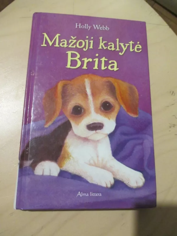 Mažoji kalytė Brita - Holly Webb, knyga 4