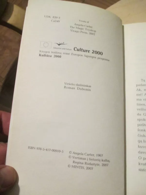 Stebuklinga žaislų krautuvėlė - Angela Carter, knyga 5