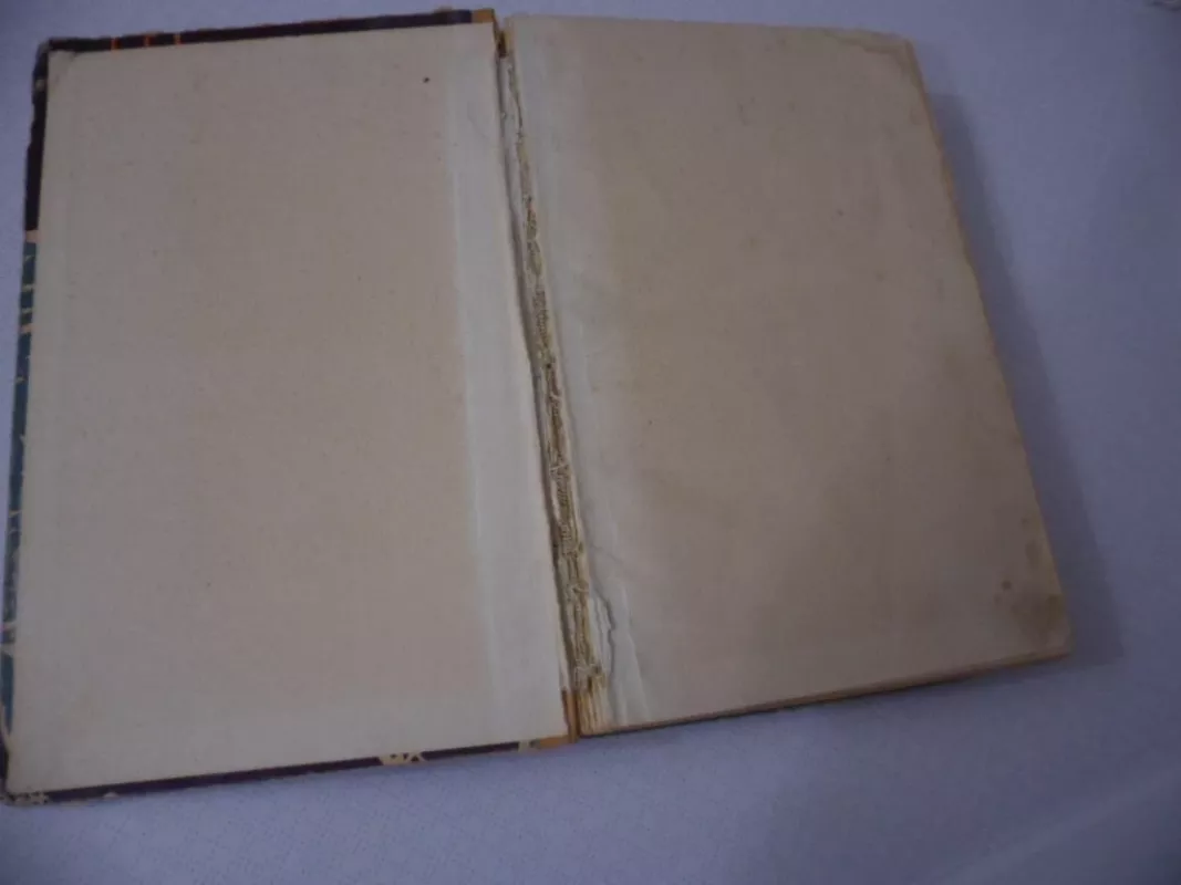 Grafas Montekristas III tomas - Aleksandras Diuma, knyga 4