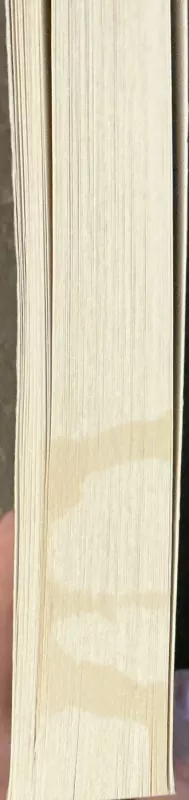 Pasiklydusi siela, išmintinga siela - Karen Joy, knyga 3