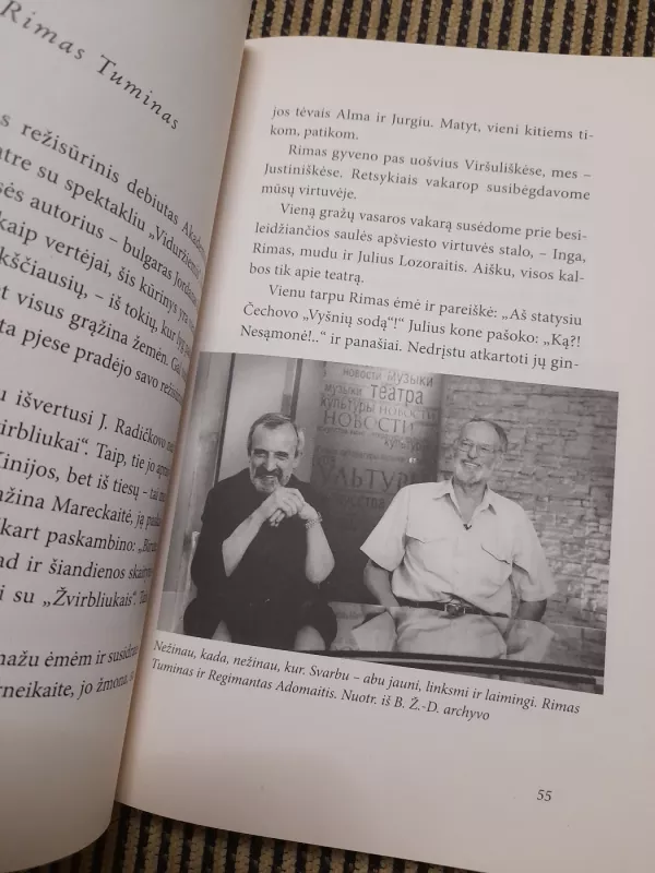 Vakaro žvilgsnis - Birutė Želvytė, knyga 6