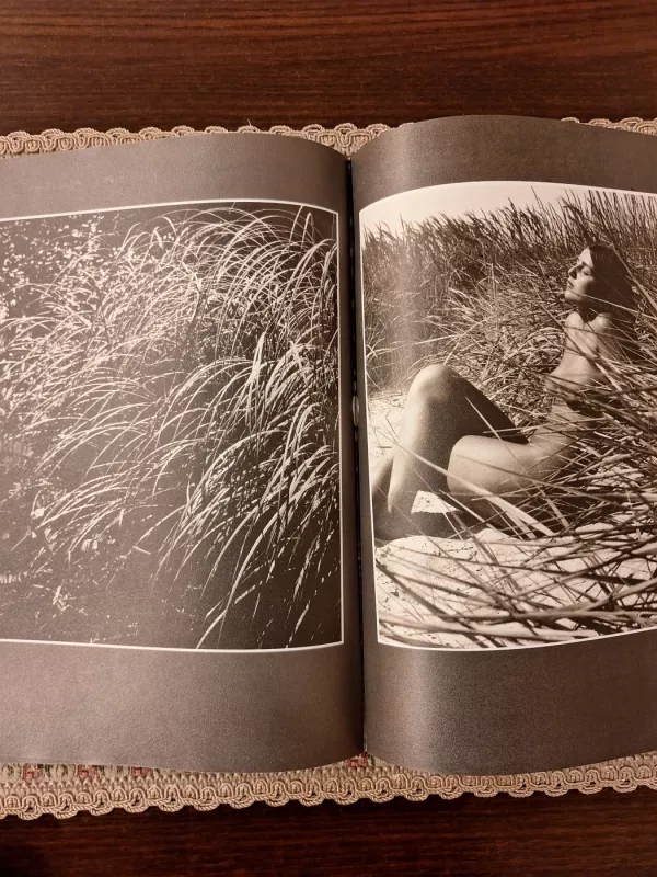 Žiedai tarp žiedų - R. Dichavičius, knyga 5