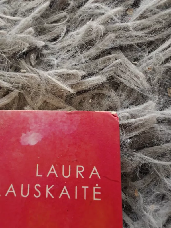 Mano didelis mažas aš - Laura Varslauskaitė, knyga 3