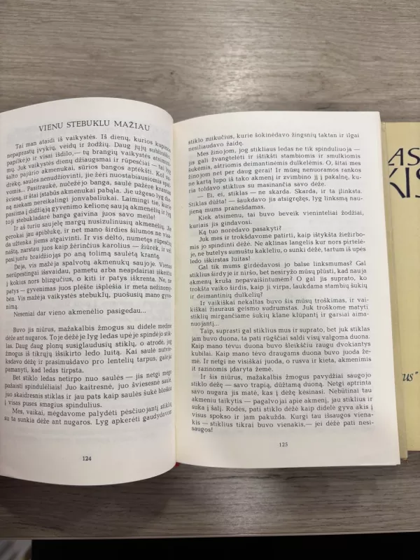 Mykolas Sluckis Raštai I-IV tomai - Mykolas Sluckis, knyga 5