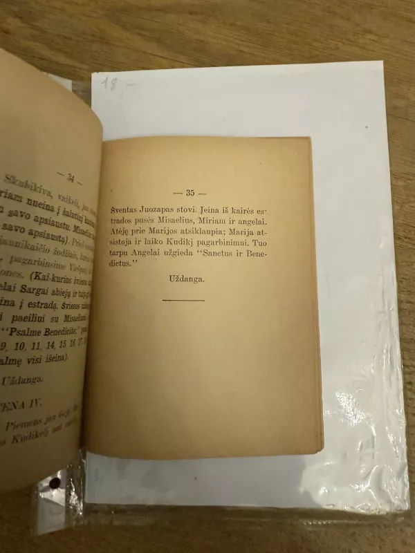 Nebuvo vietos užeigoje; Lietuvis Atgiimas 1912 - Žibuoklė, P. Miknevičaitė, knyga 6