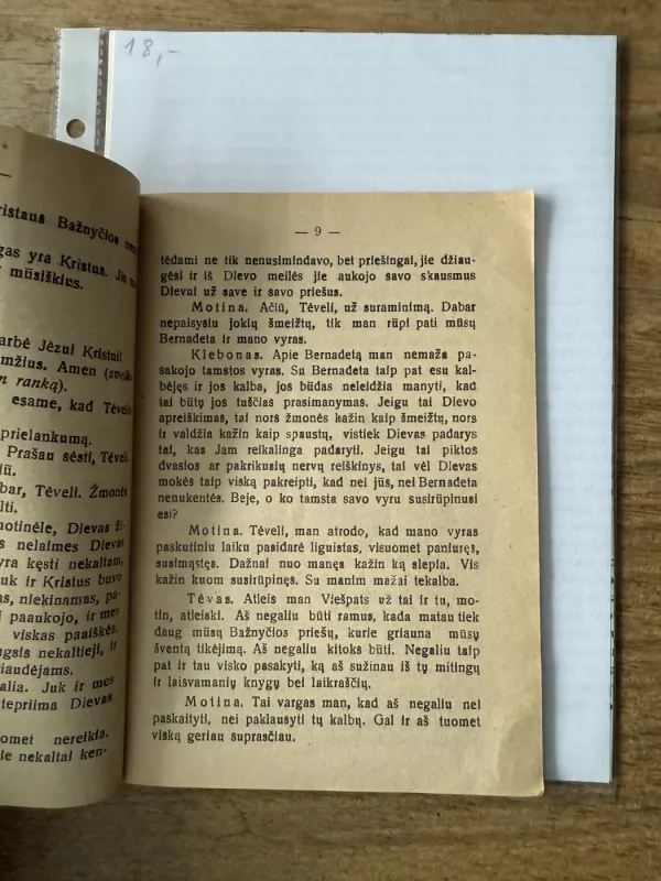 Liurdo Bernadeta 1928m. - J. Židanavičius, knyga 5