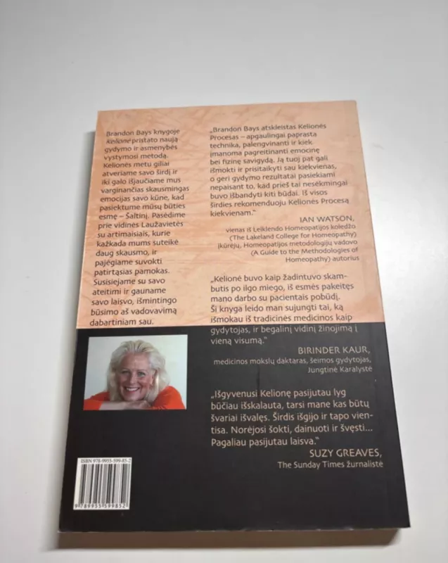 Brandon Bays Kelionė - Brandon Bays, knyga 3