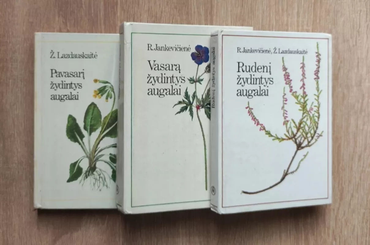 Pavasarį žydintys augalai. Vasarą žydintys augalai. Rudenį žydintys augalai - R. Jankevičienė, knyga 2