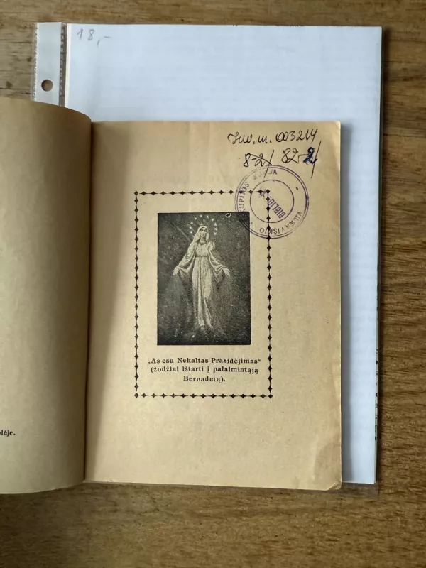 Liurdo Bernadeta 1928m. - J. Židanavičius, knyga 4
