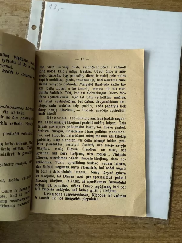 Liurdo Bernadeta 1928m. - J. Židanavičius, knyga 6